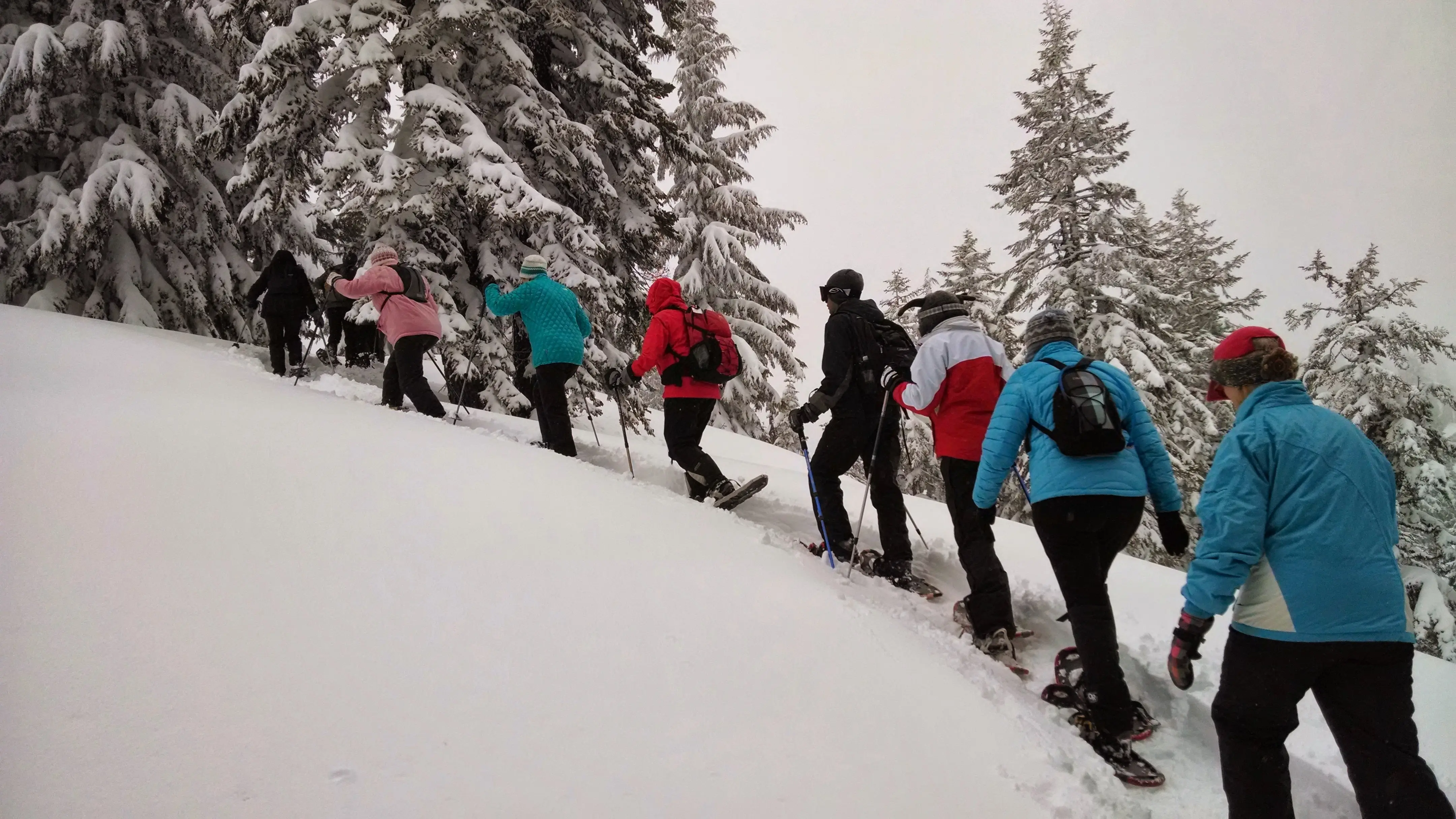 Skieurs de fond en promenade — assurance ski Assurski